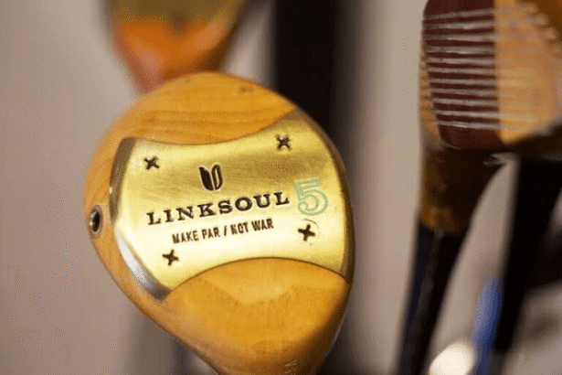 Is Linksoul Going Out Of Business